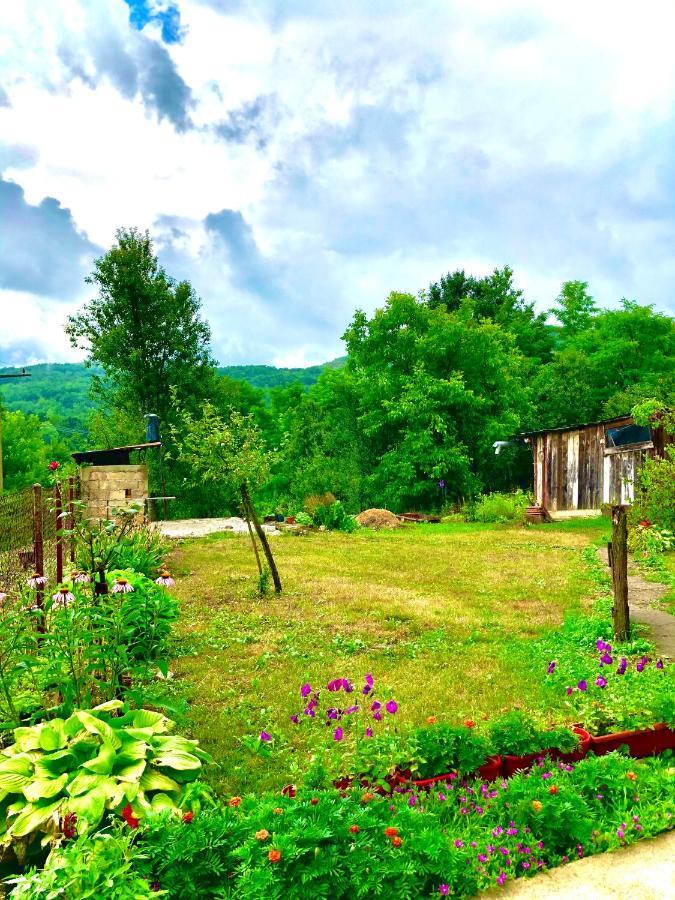 Guesthouse D&D Licko Petrovo Selo Экстерьер фото
