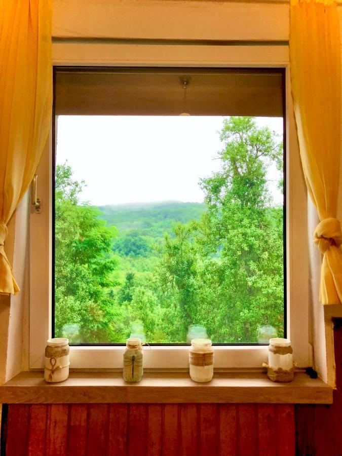 Guesthouse D&D Licko Petrovo Selo Экстерьер фото