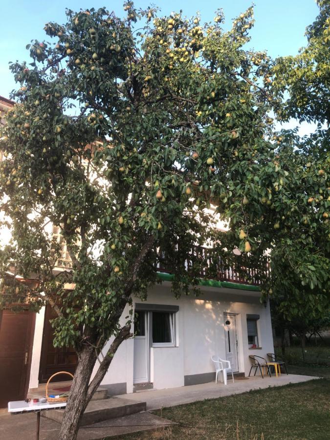 Guesthouse D&D Licko Petrovo Selo Экстерьер фото