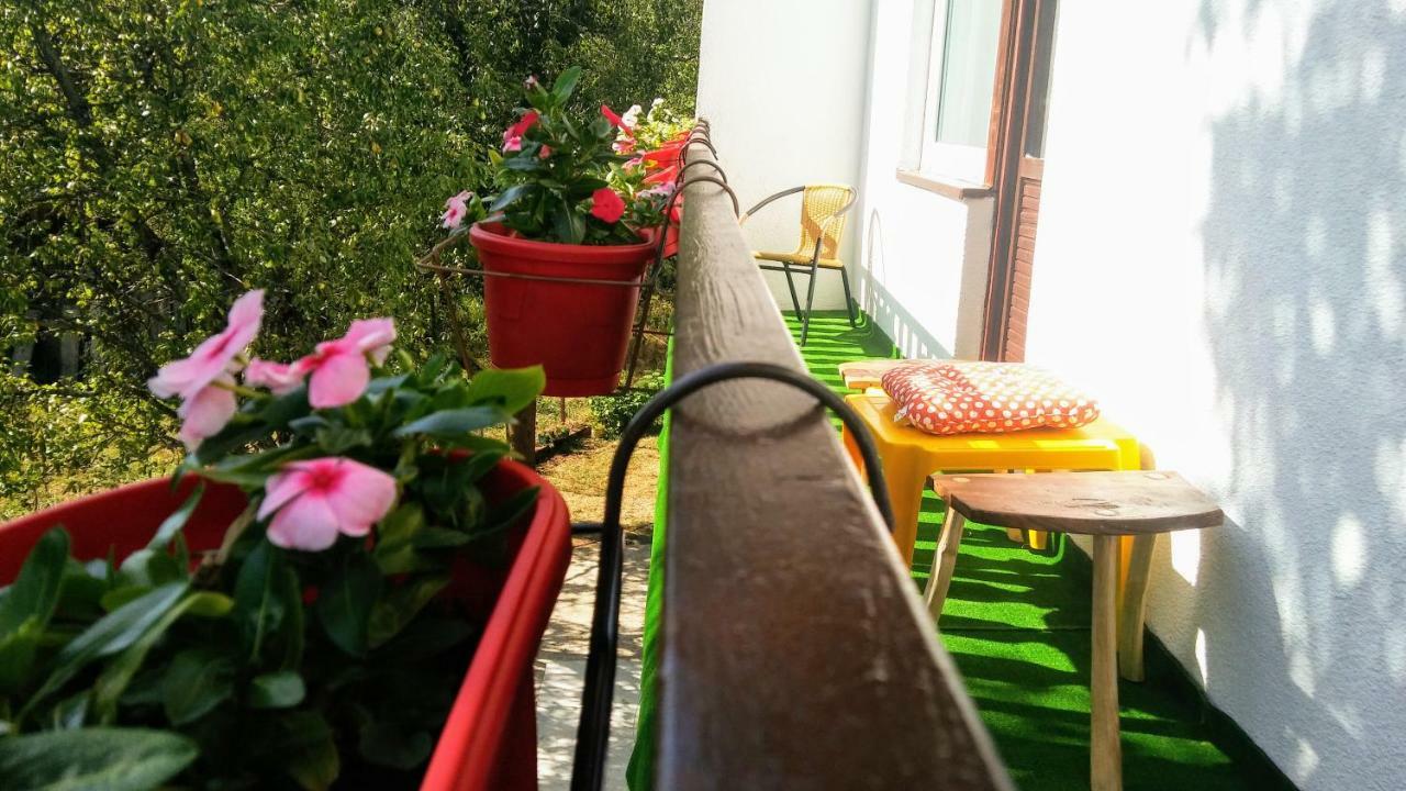 Guesthouse D&D Licko Petrovo Selo Экстерьер фото